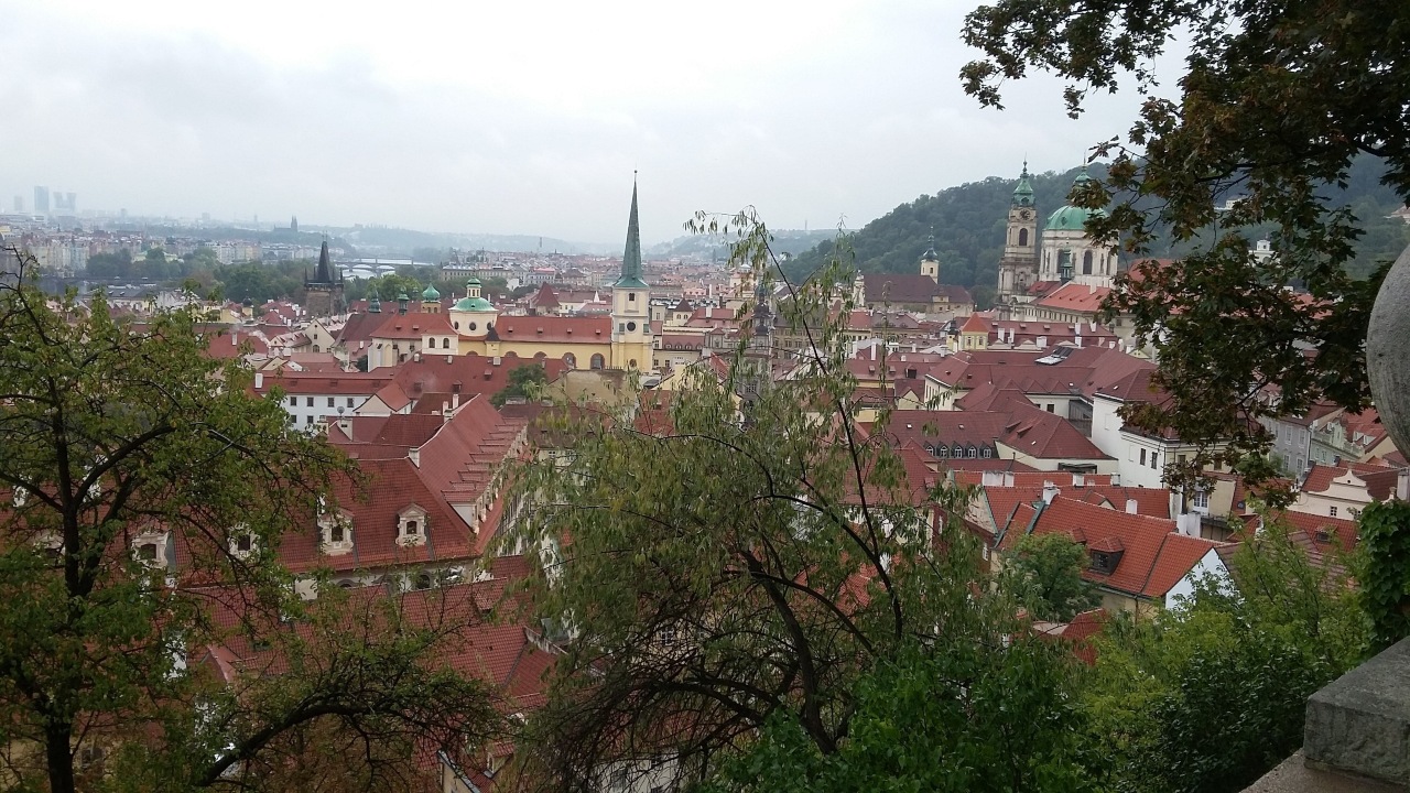 Прага сверху, красные крыши домов